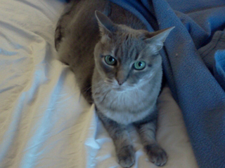 luna